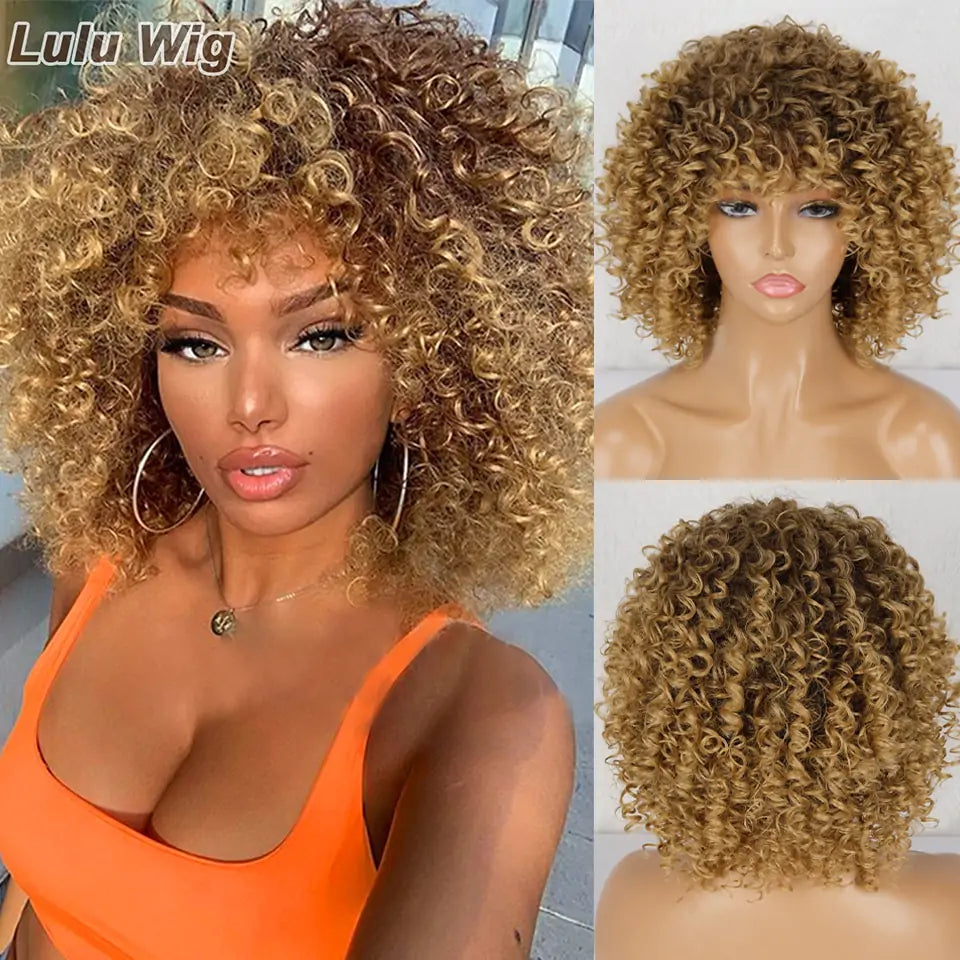 Afro Kinky Curly Wig